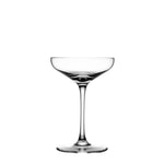 Spoon 2oz Coupe [55ml]   SET OF 6